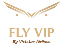 Home | Private jet charter to/from Vietnam in the covid pandemic by Vietstar Airlines